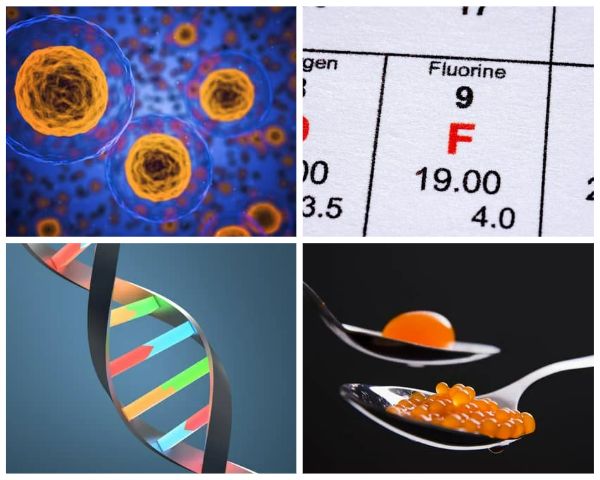 Chercheur en Biologie cellulaire et moléculaire